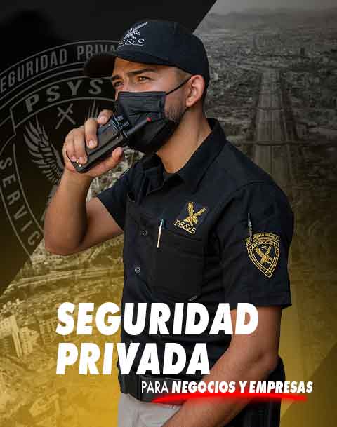 PSYS Protecci n Seguridad y Servicios Agencia especializada